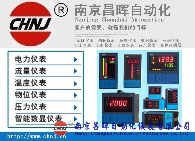 DY29ZE10、DY2000（ZE/DE）單電量顯示儀表