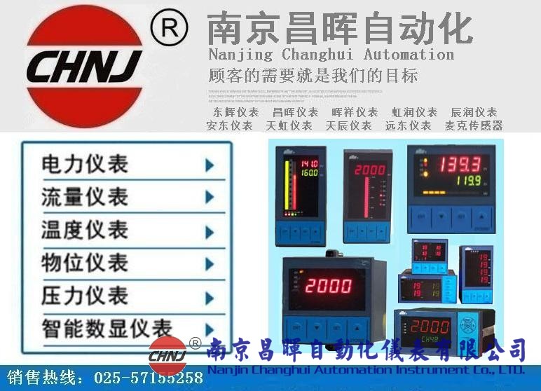 東輝儀表DY21ZE、DY22ZE、DY26ZE、DY28ZE、DY29ZE、DY2000單電量顯示儀