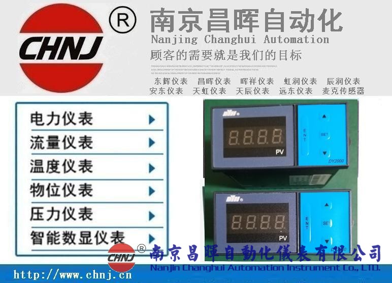大延牌DY2000、東輝儀表、DY28B02/DY21B02/DY29B02數(shù)顯表