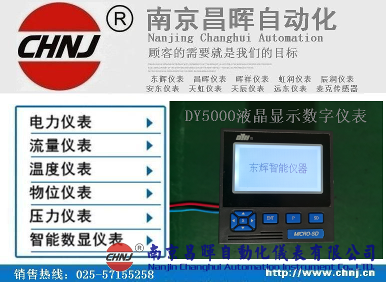 DY21ZL、DY22ZL00、DY59ZL60、DY5000（ZL）液晶顯示數(shù)字儀表